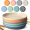 Hcojoul Set di 8 piatti piani infrangibili, riutilizzabili, profondi 22,9 cm, in plastica infrangibile, per bambini e adulti, lavabili in lavastoviglie, per cucina, 8 colori