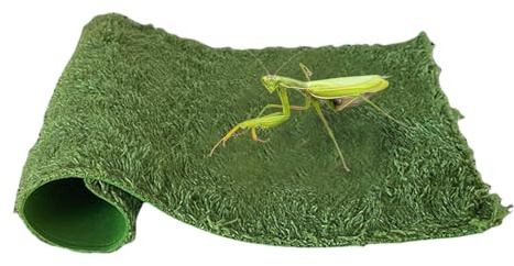 Reptile Mat - Mulch | Terrarium Substrates | Protection Against Cold and Weeds | Reptile Terrariums Mat | Terrarium Substrate Lining