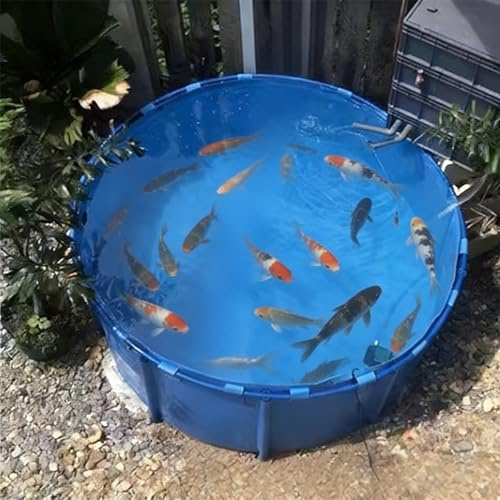 LZMZMQ Piscina Fuori Terra/Telaio Acciaio Piscina con Struttura Rotonda Fuori Terra, Piscine Estive, Piscina per Pesci All'aperto per Piante Idroponiche Koi Goldfish(4X1.2M/15000L/3962GAL)