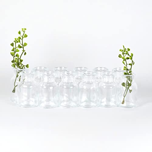 gouveo Clear-Bottle 30 ml Lot de 12 mini vases à fleurs en verre Petits vases décoratifs pour la maison, les mariages, les anniversaires, les fêtes