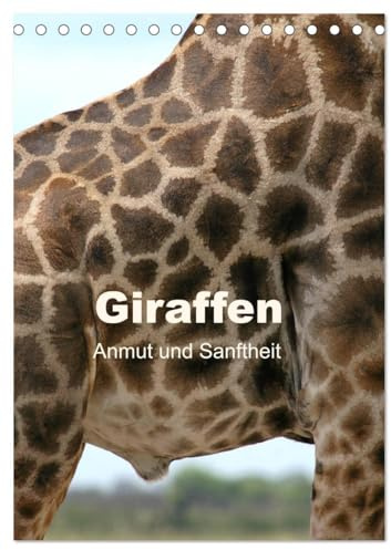 Giraffen - Anmut und Sanftheit (Tischkalender 2026 DIN A5 hoch), CALVENDO Monatskalender: Begegnungen mit Giraffen in Afrika (CALVENDO Tiere)