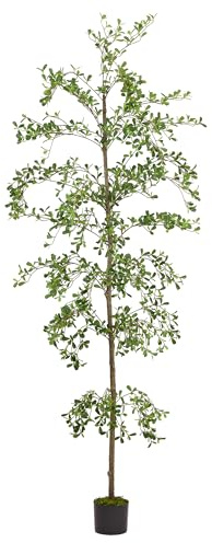 Shady Lady Faux Tree 7ft Black Olive Tree Artificial Tall Indoor Plant | 84inch Realistic tree for Home Decor Housewarming Office Living Room Ourdoor with Moss and Natural Trunk Fake Bucida Buceras