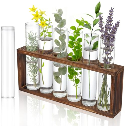 7 Stück Durchsichtige Reagenzglas, 30X150mm Reagenzglas Glas, Glasröhrchen, Reagenzgläser Blumenvase, Reagenzgläser mit ständer Holz für Blumen, Gewürze, Küche Deko, Flüssigkeiten Zum und Selbermachen