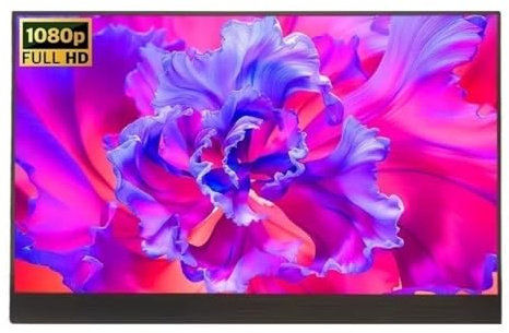 Lijiaxiuyc-101 Monitor portatile IPS da 15,6 pollici con secondo schermo esteso for laptop, 1080P, profondità di colore a 10 bit Monitor per Smart Working