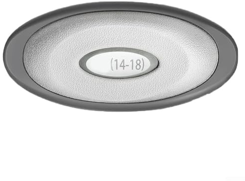 Vasiumic Ovaler Kisseneinsatz mit integrierter LED-Licht-Halterung für Whirlpools der J-300-Serie (2007–2024), Polyurethan-Spa-Ersatz-Pad 2472–824, kompatibel (1 Stück)