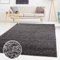 ayshaggy Shaggy Teppich Hochflor Langflor Einfarbig Uni Dunkelgrau Weich Flauschig Wohnzimmer, Größe: 120 x 170 cm