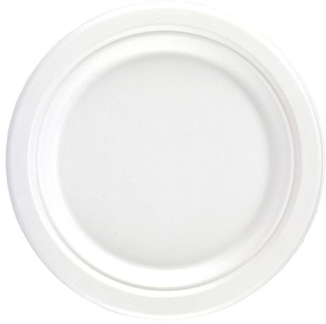 Dispo Bagasse Round Plates 7inch - Case of 1000 - Disposable Sugarcane Plates