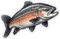 Samunshi Lachs Aufkleber Autoaufkleber für Motorrad Fahrrad Roller oder Auto Sticker Fahrrad MTB Mountainbike Rennrad Angeln Fischen Fisch (20x13cm Lachs)