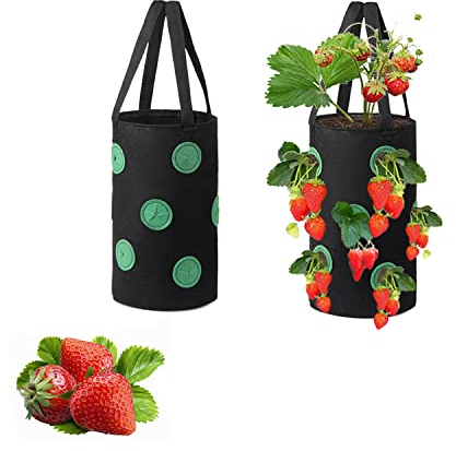 Yhuasia 2 Stück Vegetable Plant Bags, Pflanzen Wachstums Tasche, Erdbeer Wachstumsbeutel, 12 Loch Vliesstoff Pflanze Hängende Korb, für Erdbeeren, Kräuter, Gemüse und Blumen