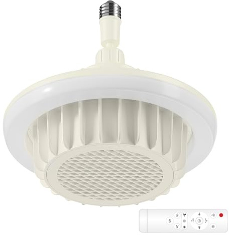 Lumière De Ventilateur De Chauffage – Chauffage De Plafond 600 W, Ventilateur Électrique Intérieur, Chauffãge De Plafond À Lumière LED, Dispositif De Télécommande | Parfait Pour La Salle De Bain, La C