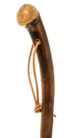 Scorched Chestnut Knob Stick Wood Hiking Stave Pole Staff Walking