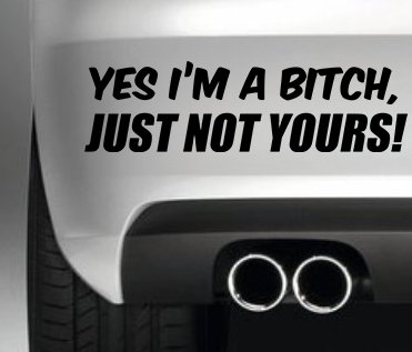 South Coast Stickers Yes I'm A Bitch Just Not Yours Sticker Funny Bumper Sticker CAR Van 4X4 Window PAINTWORK Decal Euro Laptop Drive