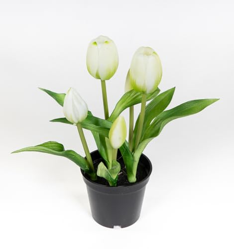 Seidenblumen Roß Tulpen Real Touch 24cm im Topf ZF Kunstpflanzen künstliche Pflanzen Tulpentopf (Weiß)