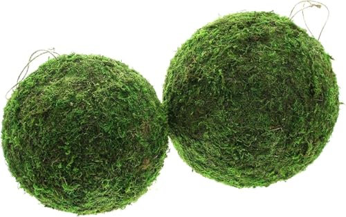 FRANK FLECHTWAREN Hänger Mooskugel, 2er Set, Naturmoos, Kunststoffkörper Maße: Ø 18 cm, 23 cm
