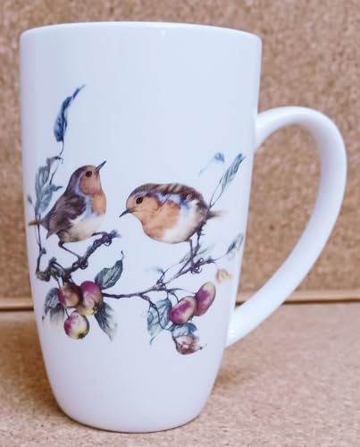 Rainbow Decors Elegant Robins Mug Bone China 15fl oz 425 ml Latte Chocolate Birds Nature Scene Empire Cup Hand Decorated UK