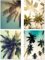 PICSonPAPER Poster 4er-Set PALMEN, ungerahmt DIN A4, Dekoration fürs Wohnzimmer oder Büro, Dekoposter, Geschenk, Kunstdruck (DIN A4 ungerahmt)