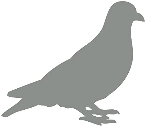 Samunshi® Taube als Wandtattoo in verschiedenen Farben und Größen - Tier Aufkleber 20 x 17,2cm mittelgrau