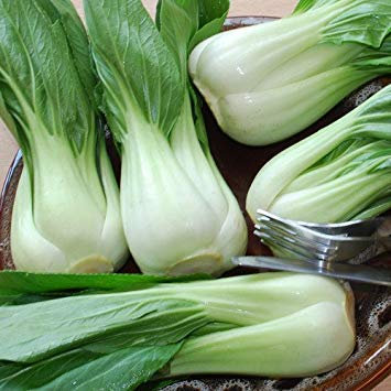 Potseed - Semi Bianco Pak Choi