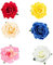 Fiori per Capelli,Fermagli,Molletta, Clip Multicolore Rosa Forcina Spilla Accessori Partito Delle Ragazze Festa Spiaggia Nozze (6 Pezzi)