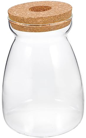 IMIKEYA Large Glass Terrarium Jar for Miniature Gardens Indoor Plant Display and Ecological Decor for Bromeliads Ferns and More for Home and Office