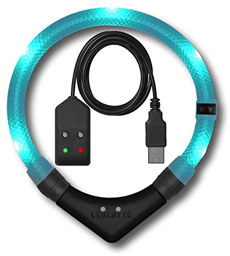 LEUCHTIE® Leuchthalsband Easy Charge für Hunde, USB aufladbar, wasserdichtes LED Halsband, extrem hell, 25h Leuchtdauer, kleine mittlere und große Hunde türkis Größe 47,5
