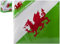 PMS Papierservietten, Wales, Walisischer Drachen, Fan-Weltmeisterschaft, 6 Nationen, patriotisch, 3-lagig, 33 cm, 12 Stück