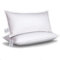 BEFA NATUR Federkissen 50x70 cm aus 100% Federn, Öko-Tex 100 Klasse 1 Zertifiziert, Downpass - Programm und Preise für Hotellerie und Geschäftskunden