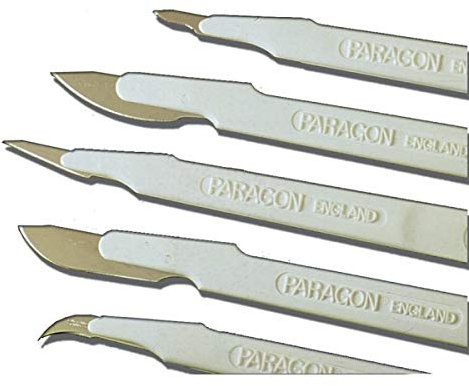 Paragon - Bistouri jetable, stérile, taille no. 20, Acier Inoxydable, Renfort de Protection de Lame, Paquet de 10 Scalpels en Sachets Individuels