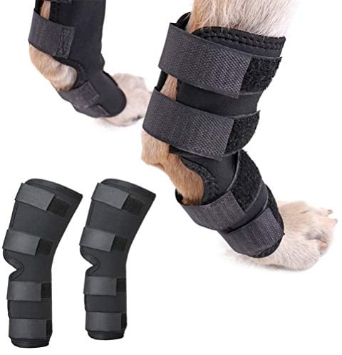 Zunea Dog Canine Rear Leg Hock Joint Brace 2Pack Hind Leg Wrap Protector and Extra Supportive, Leg Hock Joint Compression Sleeve for Wound Injury and Sprain Healing of Arthritis - (Black, M)