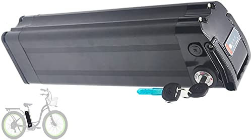 stdpcxz Batteria per Bici Elettrica 48V 8AH 10AH 12AH 12.5AH 15AH 18AH 20AH, per Moto/Scooter Elettrico da 250 W - 1000 W, Pesce d'Argento, Involucro in Alluminio con BMS 48V,12AH