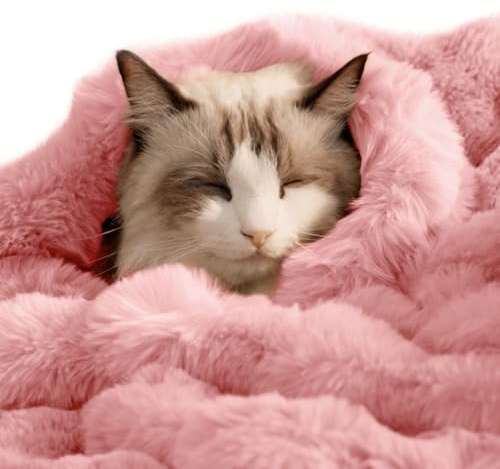 Couverture en fausse fourrure ultra douce et pelucheuse en fausse fourrure pour chat d'intérieur – Lavable en machine – Couverture de protection réversible pour animal domestique – 99 x 76,2 cm, rose