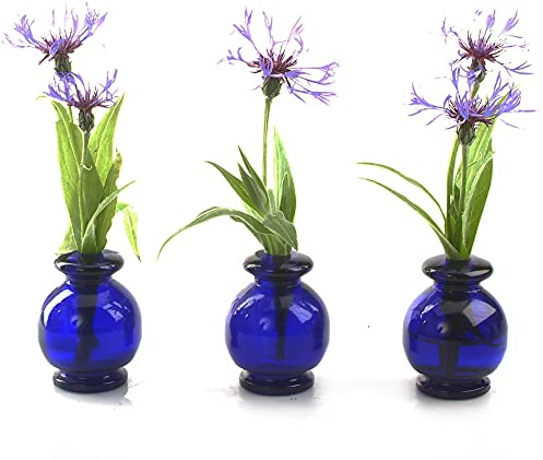 Enigma Supplies Cluster of 3 Small Glass Vases in Cobalt Blue Suitable for a Single Flower Bud Vases