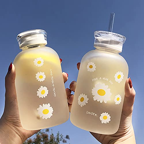 JZSMY Botella de agua de jugo de leche de 480 ml con escala, 2 tapas, pequeña margarita, mate, portátil, transparente, botella de vidrio creativa y práctica (1 unidad, seis flores)