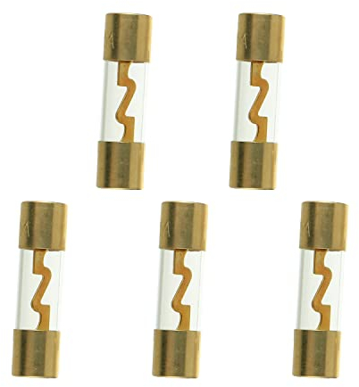 SIGANDG 20A AGU Sicherung vergoldetes Glas Car Audio für Auto Auto Marine Audio Stereo Verstärker Leistungsschutz (5er Pack)
