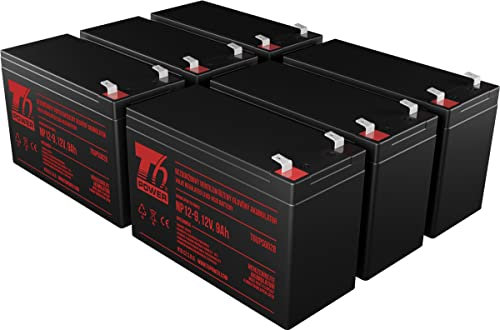 T6 Power Batterie pour Eaton 5PX 3000i RT2U VRLA 12V
