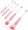 OSOLADY 5 Stück Make-up-pinsel Mit Metallgriff Make-up-reisekoffer Palette Make-up-etui Make-up-pinsel Für Mädchen Make -up -mischpinsel Make-up Pinsel Makeup Bürsten Rosa Kunstfaser
