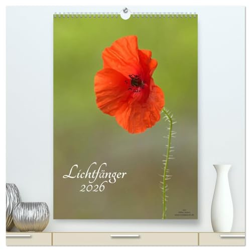 Lichtfänger (hochwertiger Premium Wandkalender 2026 DIN A2 hoch), Kunstdruck in Hochglanz: Wunderschöne Lichtmomente - Die Welt der Blumen und ... Detailaufnahmen (CALVENDO Natur)