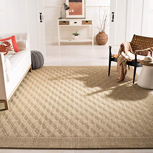 Safavieh Palm Beach Collection PAB351A Sand Sisal & Jute Area Rug (6' x 9')
