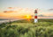 ForWall - Vlies Fototapete Strand Meer Nordsee Gräser Leuchtturm Sonne 368x254 cm - Fototapeten - Tapeten - für Wohnzimmer Schlafzimmer - Vliestapete Wandtapete Tapete 3D Effekt- inkl. Kleister