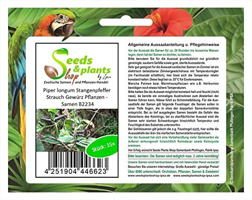 Stk - 15x Piper longum Stangenpfeffer Strauch Gewürz Pflanzen - Samen B2234 - Seeds & Plants Shop by Ipsa