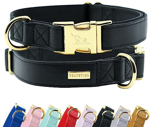 Halsband Hund von VELVETIER® | Stilvolles Hundehalsband aus veganem Mikrofaser Leder | Für kleine & große Hunde (S/M: 29 - 41cm, Midnight (Schwarz))