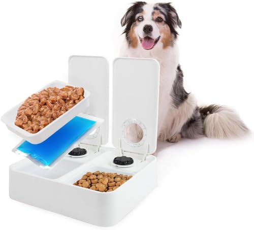 All for Paws Automatic Cat Feeder 2 Meal Dog Feeder, Dry and Wet Food Dispenser with 48-Hour Timer, Ice Pack Included