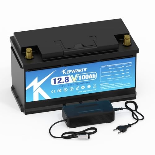 Lifepo4 Batería 12v 100AH Litio con Grado A Células y 100A BMS para Trolling Motor Camping Sistema Solar Lawn Mover Aplicación Doméstica Soporte Serie y Paralelo