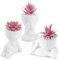 Der Rose Lot de 3 plantes succulentes artificielles roses pour décoration de chambre, bureau, pour femme