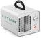 Ulsonix Generador de ozono Profesional AIRCLEAN 10G-WL Purificador Aire Ozonizador Maquina de ozono 10000 MG/h, 102 Watt, Temporizador 120 Min
