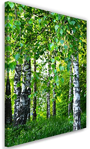 Feeby Vlies Leinwandbild Birke Blätter Gras 40x60 cm Wanddeko Design Kunstdruck Zimmerdeko Bilderwand Natur Pflanzen Bäume Wald Grün