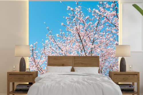 MuchoWow Papier peint Cerisier - Japon - Fleur Papier peint photo 260x260 cm Papier peint imprimé