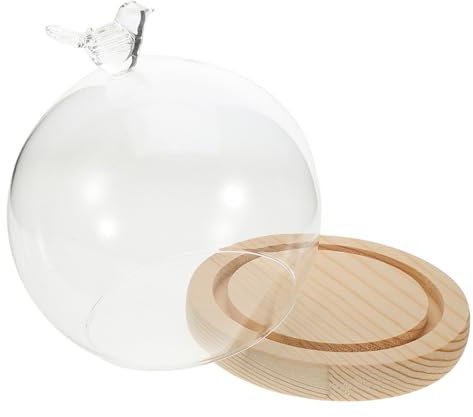 Garneck Cloche Verre Transparent Avec Base Pour Décoration Vintage De Fleurs Naturelles Et Projets Créatif