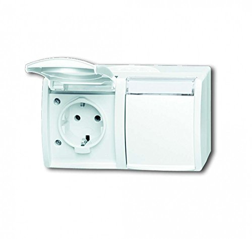 Busch-Jaeger 20/2 EWN-54 SCHUKO® Steckdose 2-fach (Thermoplast) Alpinweiß ocean® (IP 44) 2CKA002084A0715