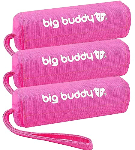 big buddy® Futterdummy für Hunde | Apportierbeutel, Futterbeutel, Hundetraining, Agility Training, Hundeerziehung, Dummy für leckerlies - extrem strapazierfähig (Dreierpack, Pink)